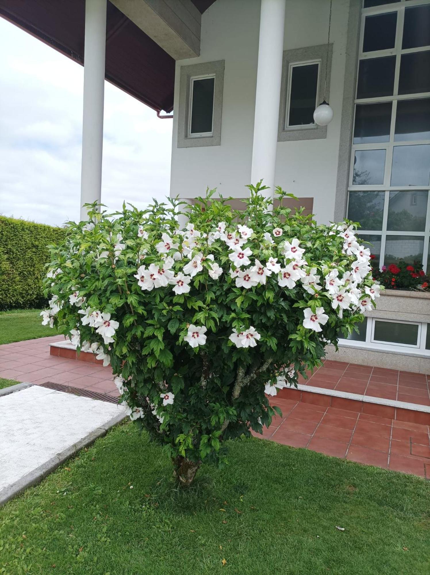 산티아고데콤포스텔라 Casa D Aitana 빌라 외부 사진